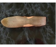 Scotch ox Tongue